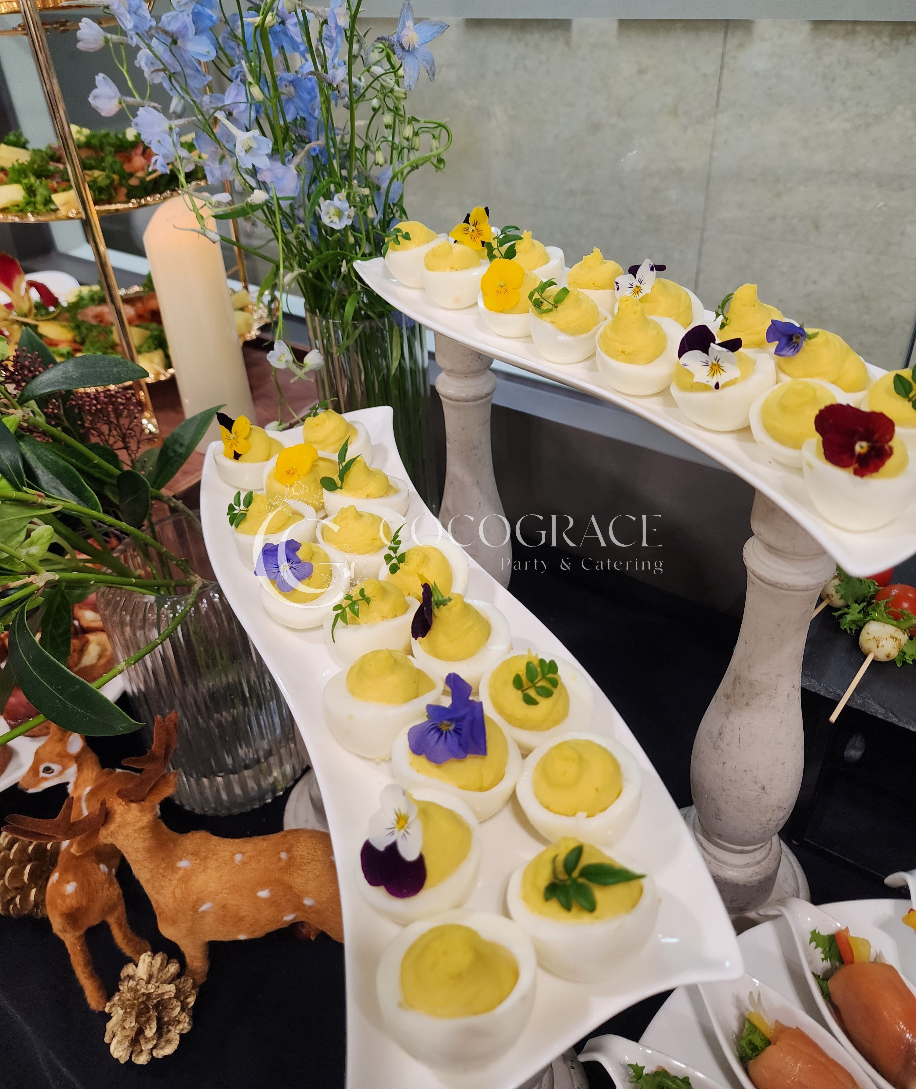 안과 개원식 갤러리 15